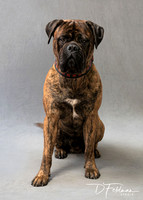 P2270333-AXEL_Softproof_crop7x10_342_SFW