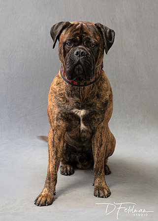 P2270333-AXEL_Softproof_crop7x10_342_SFW