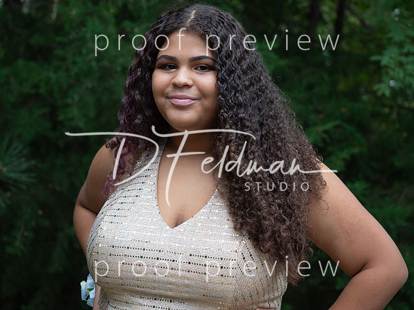 DFeldmanStudio_PA094177