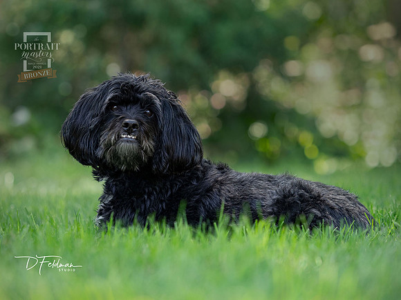 DFeldmanStudio_P8130061_Charlie_TPM_2021_2048