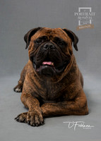 DFeldmanStudio_P9160430_LuLu_TPM_2021_2048